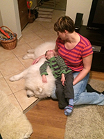 Samojed Carpathian White Smile